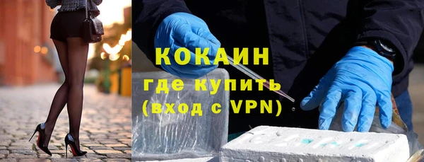 крисы Новодвинск