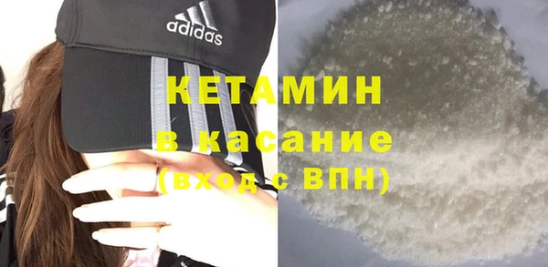 крисы Новодвинск