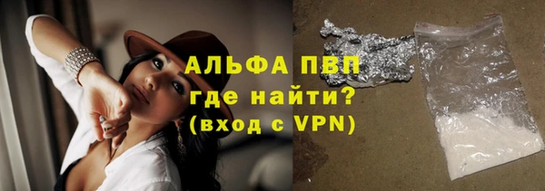 спиды Новозыбков
