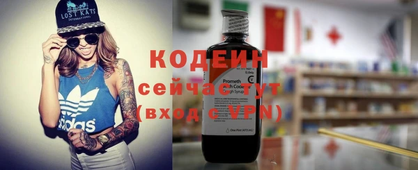 спиды Новозыбков