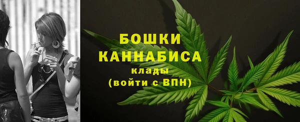 крисы Новодвинск