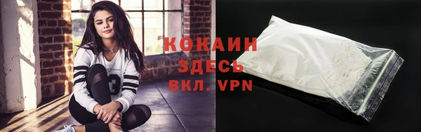 спиды Новозыбков