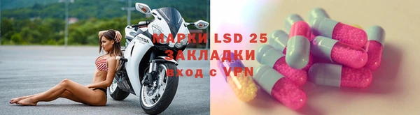 спиды Новозыбков