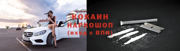 спиды Новозыбков