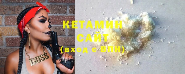 крисы Новодвинск