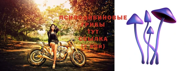 спайс Новокубанск